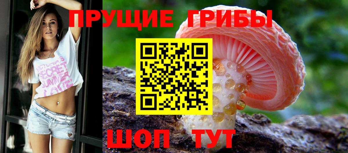 Псилоцибиновые грибы мухоморы  где продают   Ухта  Вход с VPN 