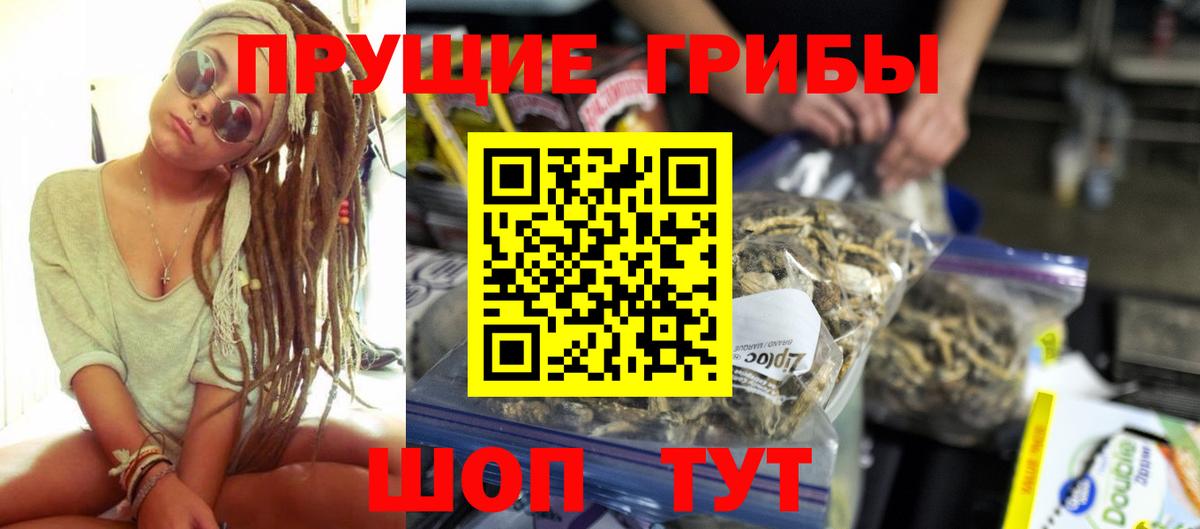 Псилоцибиновые грибы Psilocybe Ухта